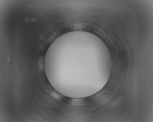 X0000073870240200608241142