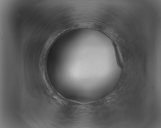 X0000073870241200608241142