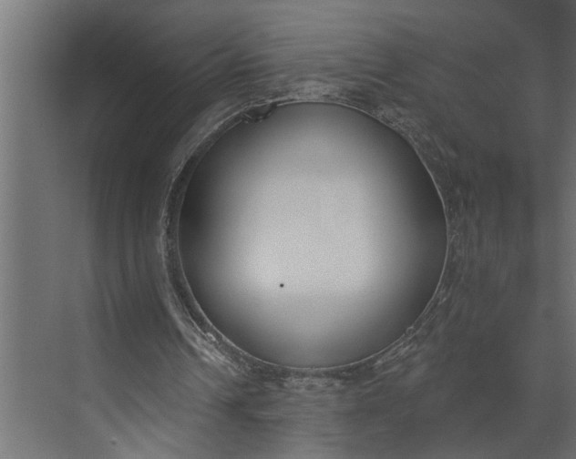 X0000073870242200608241142