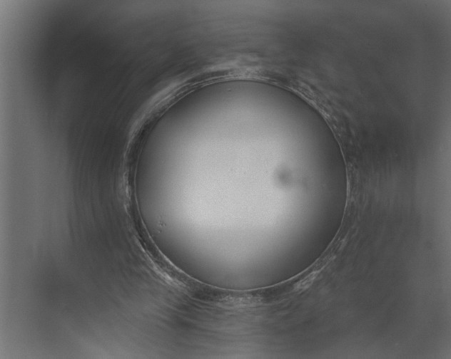 X0000073870245200608241142