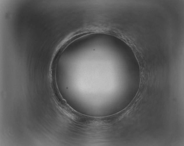 X0000073870246200608241142