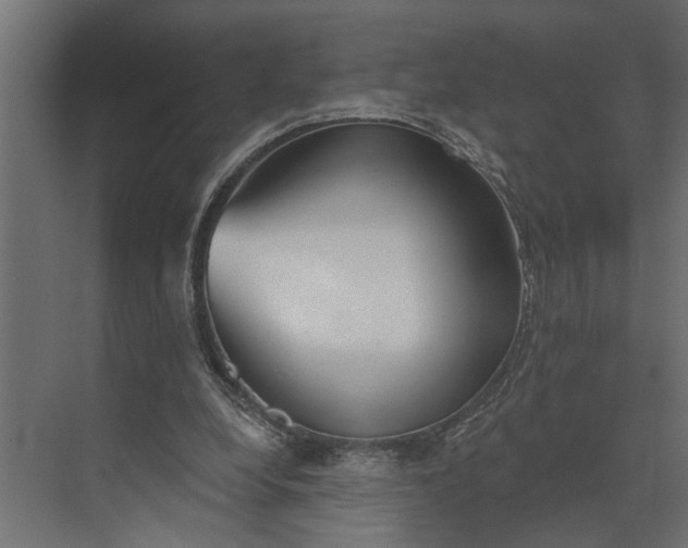 X0000073870248200608241142