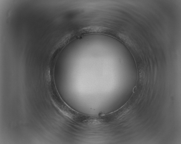 X0000073870254200608241142