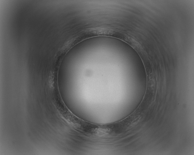 X0000073870255200608241142