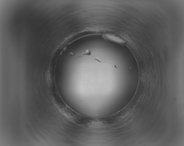 X0000073870256200608241142