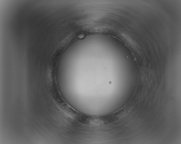 X0000073870258200608241142