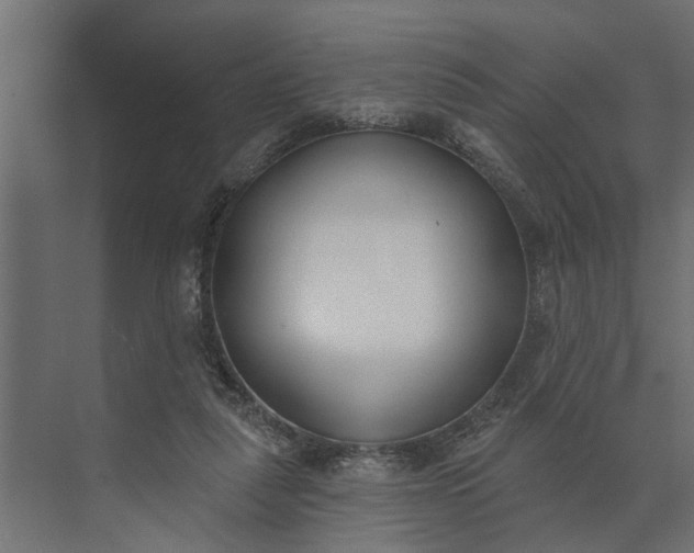 X0000073870259200608241142