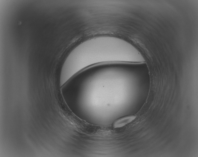 X0000073870260200608241142