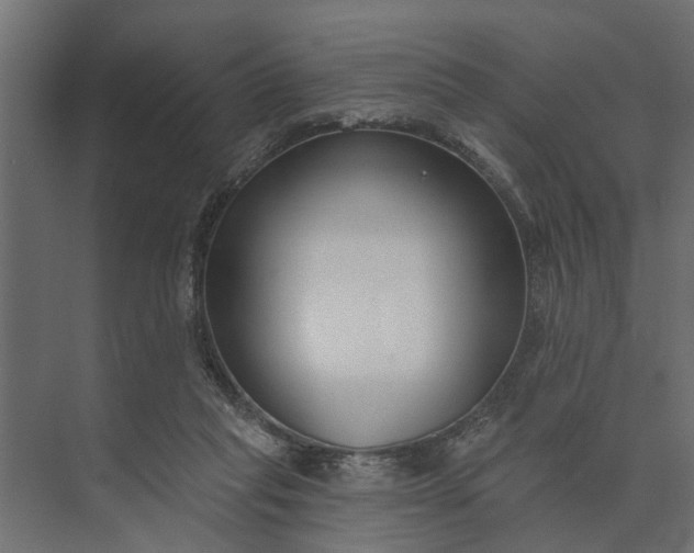 X0000073870261200608241142