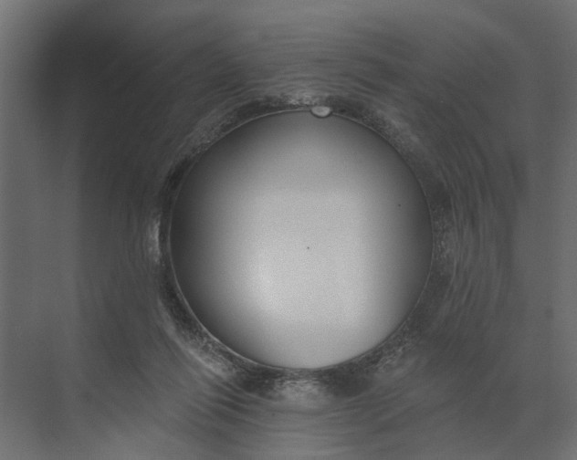 X0000073870262200608241142