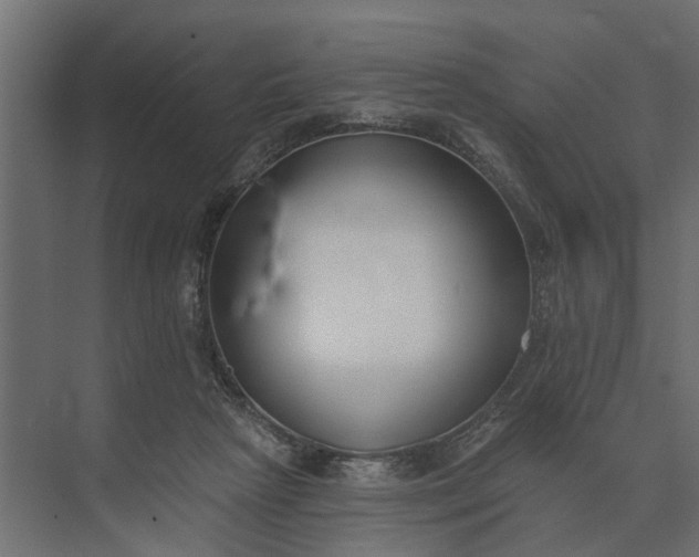 X0000073870265200608241142