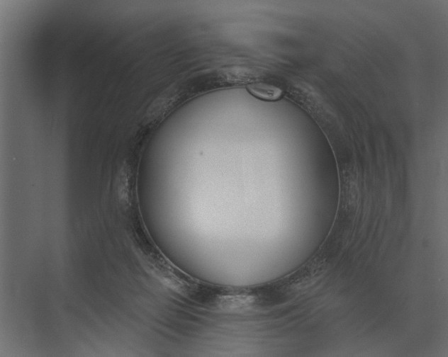 X0000073870266200608241142