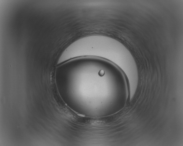 X0000073870268200608241142