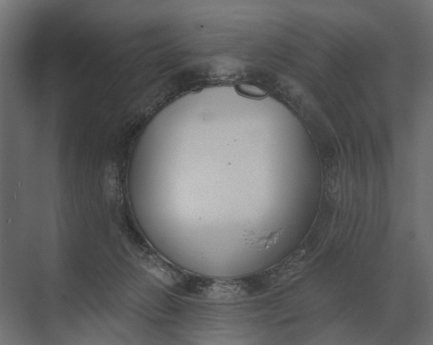 X0000073870270200608241142