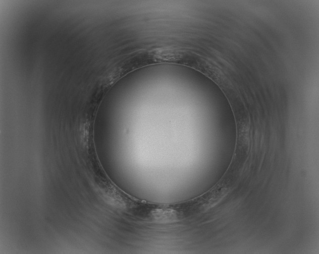 X0000073870271200608241142