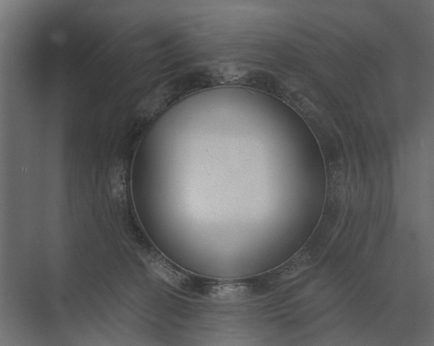 X0000073870274200608241142