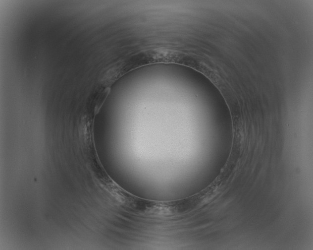 X0000073870276200608241142