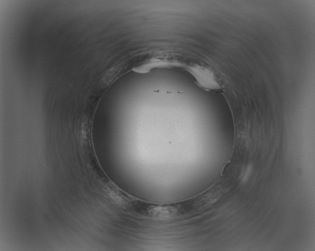 X0000073870277200608241142