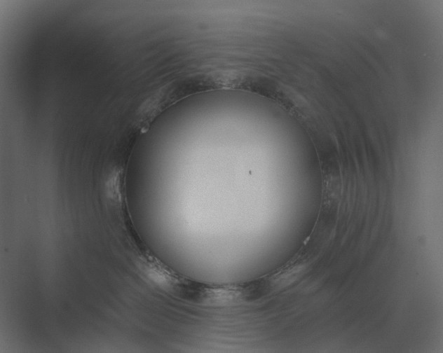 X0000073870286200608241142