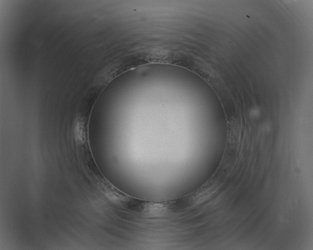 X0000073870287200608241142