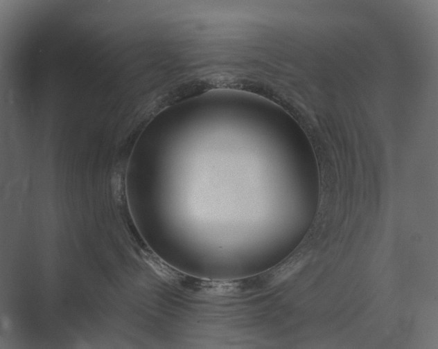 X0000073870288200608241142