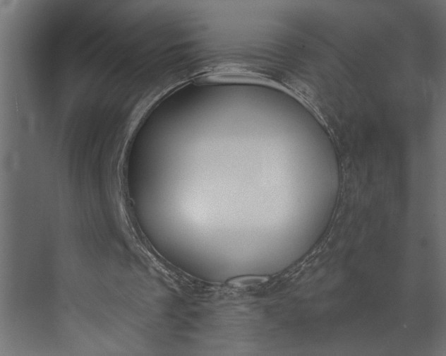 X0000073870289200608241142