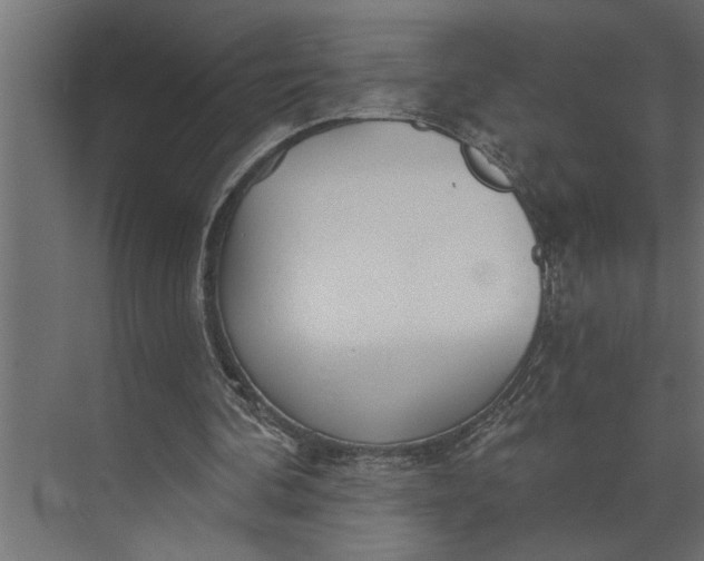 X0000073870292200608241142