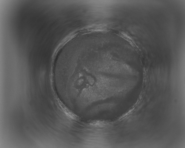 X0000073870293200608241142