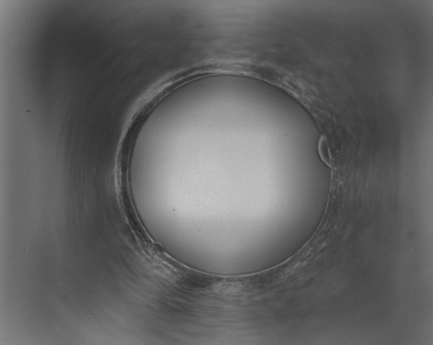 X0000073870294200608241142