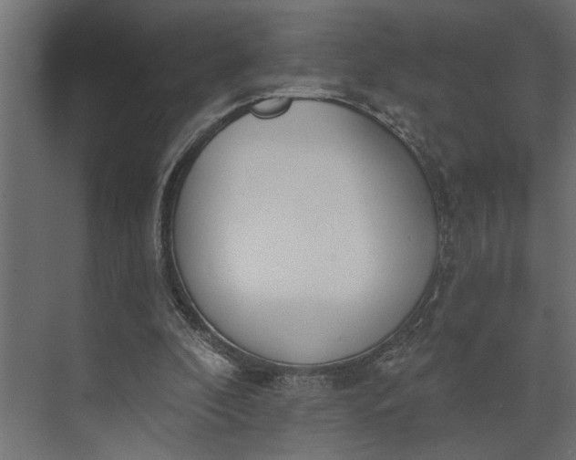 X0000073870296200608241141