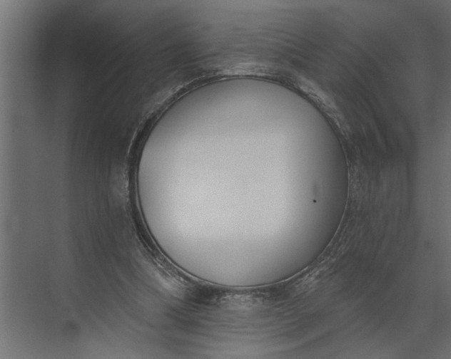 X0000073870298200608241141