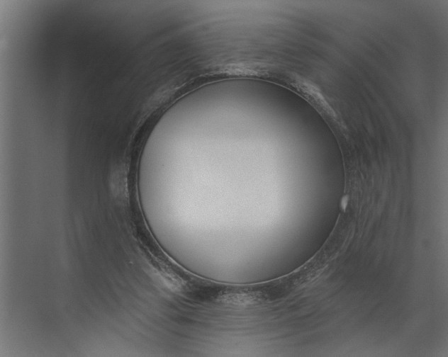 X0000073870299200608241141