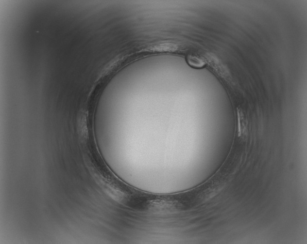 X0000073870300200608241141