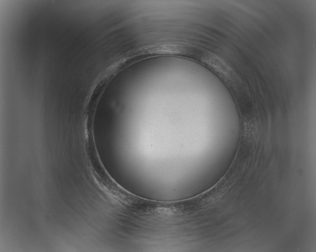 X0000073870302200608241141