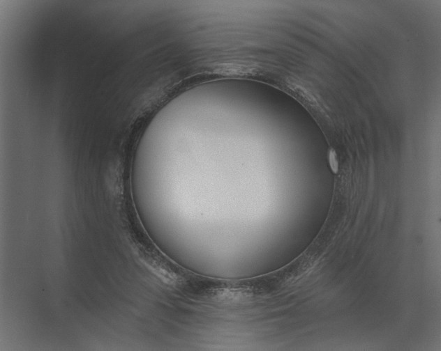 X0000073870303200608241141