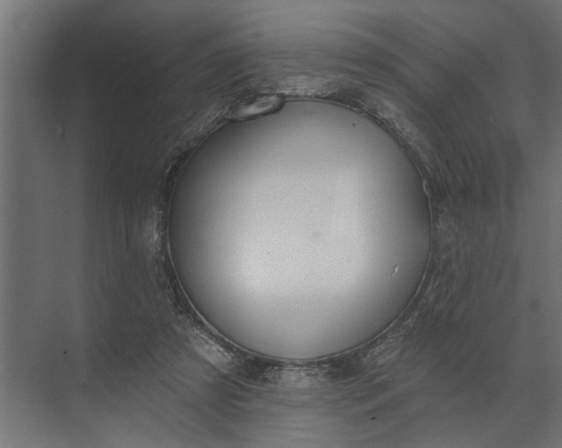 X0000073870305200608241141