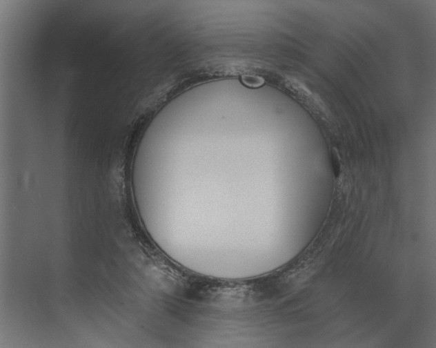 X0000073870306200608241141