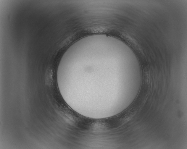 X0000073870308200608241141