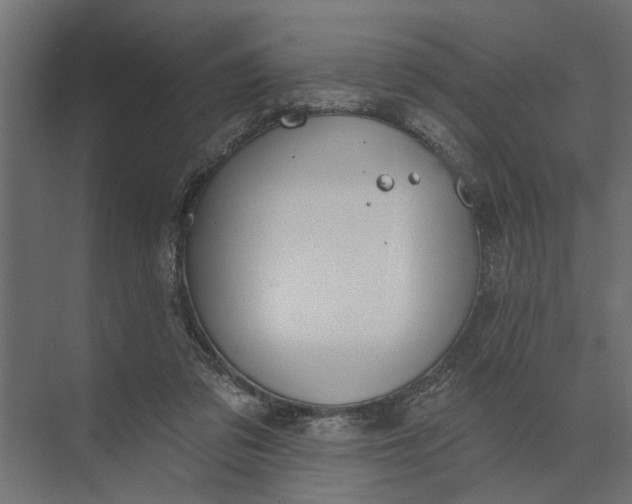 X0000073870309200608241141