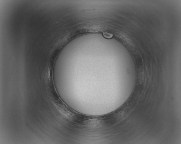 X0000073870310200608241141