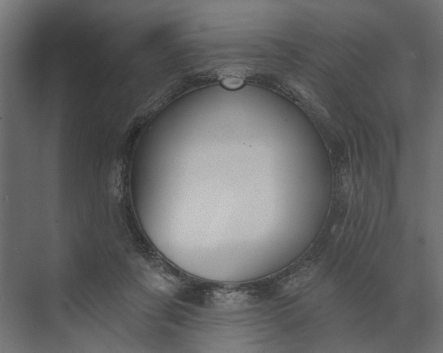 X0000073870311200608241141