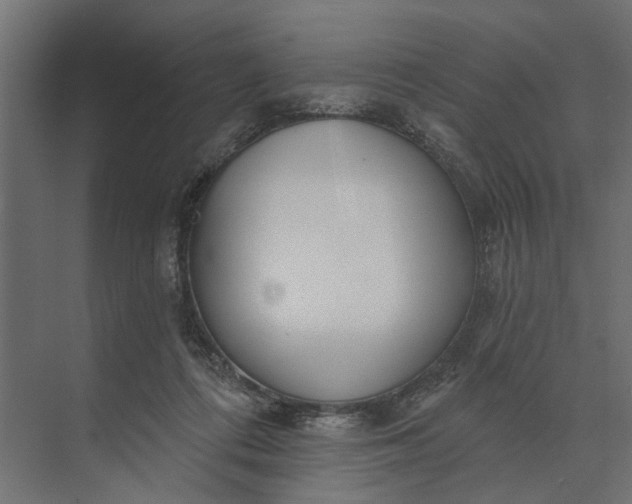 X0000073870312200608241141