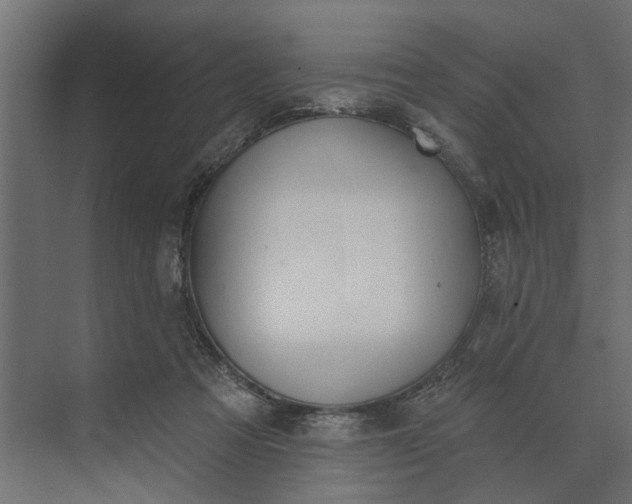 X0000073870313200608241141