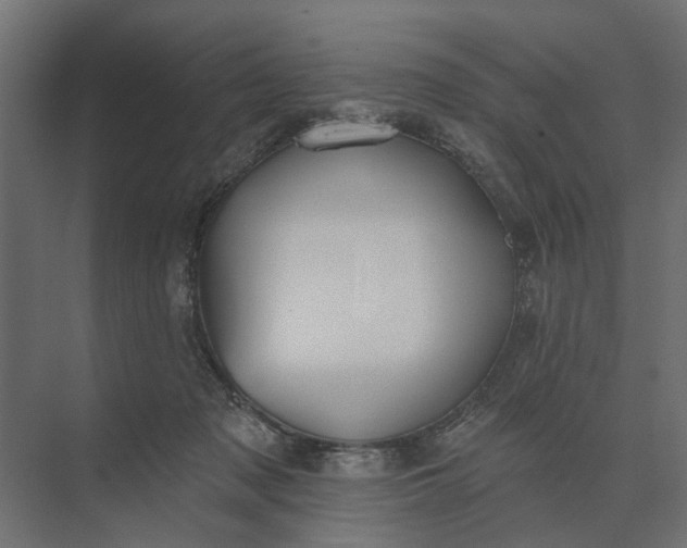 X0000073870317200608241141