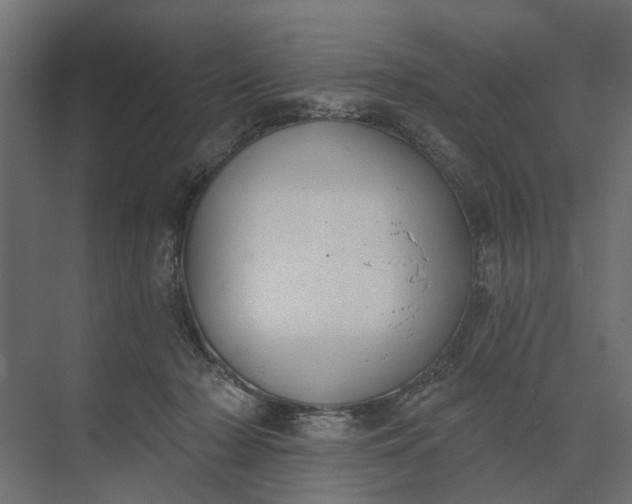 X0000073870318200608241141