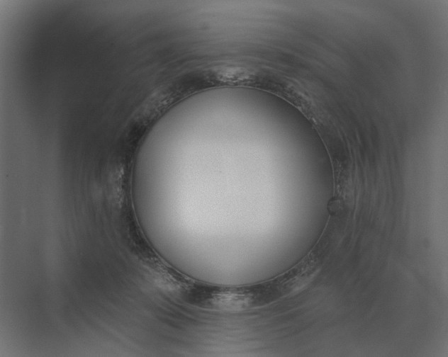 X0000073870319200608241141