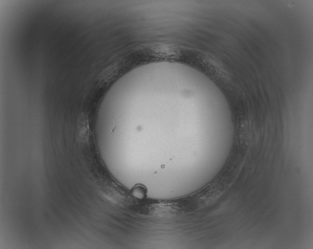 X0000073870320200608241141