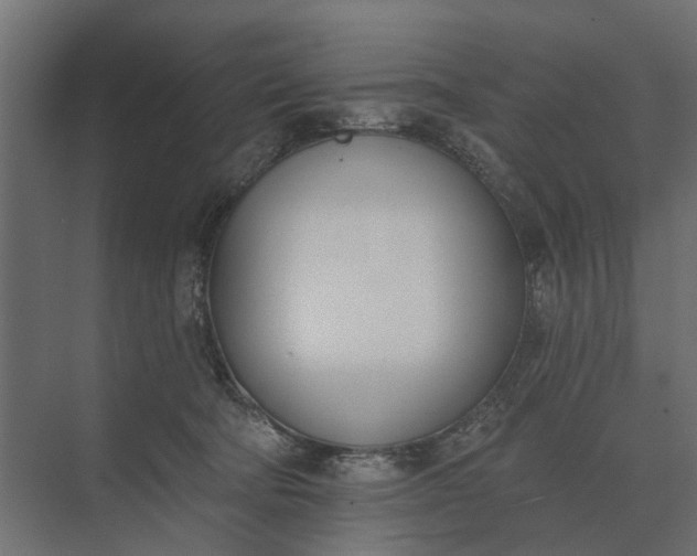 X0000073870322200608241141