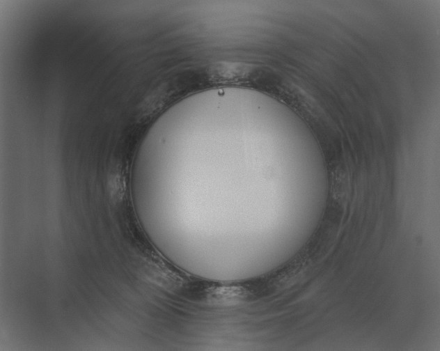 X0000073870324200608241141