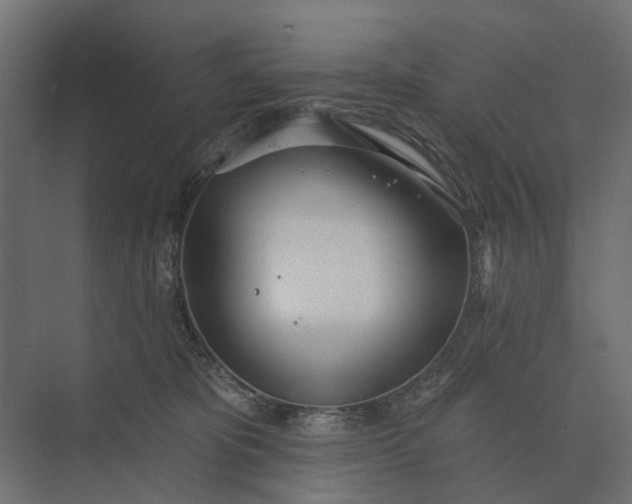 X0000073870325200608241141